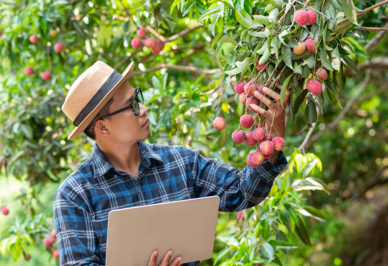 Hortifruti